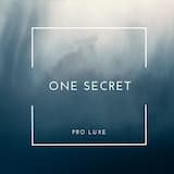 One Secret