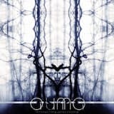 A Collision of Craniums