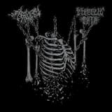 Divinations of Flesh