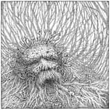 The Wind That Cracks the Leaves