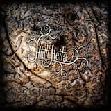 Mushrooms and Moonshine