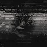 Their Fleeting Memories