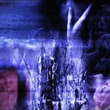 The Attraction Between Strangers Is a Pheromone That Can Affect the Behavior of An Individual As Seen Through Various Points of View