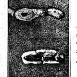 Morality Remains Unscathed Through the Eyes of the Diverted / I Will Never Die / Seized Property / Bullshit Activism/Oath of the Ghost / Utmost Disgust for the Privileged Man