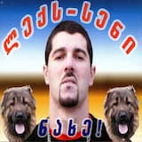 Sherigebis Simgera (Song Of Peace)