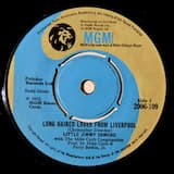 Long Haired Lover From Liverpool