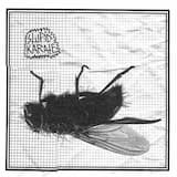 Smells like piss spirit