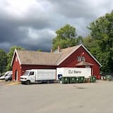 QXL-viftens krem og egg