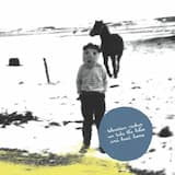 We Take the Bikes and Head Home