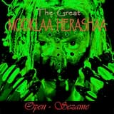 The Deranged InsomNiac