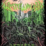 Ignorant Bliss in the Ivory Tower Part 2