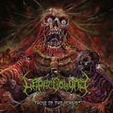 Flesh to Rot to Ashes