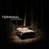 How the Lonely, Keep the Lovely