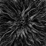 Ζωντανός Νεκρός