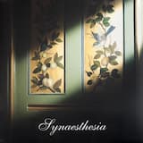 Synaesthesia (full length video)