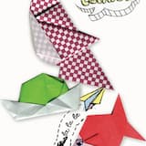 Gadis Bertangan Satu