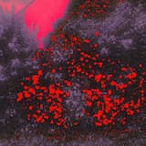 D’ü’nexse flälmmè orch’eŝtrale, lë’ss lämèàen’th den nôes coë’urss voyaeaeagëëronne’s anňe tràveřques l’öřguue