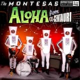 Die Erde grüßt euch, Kosmonauten