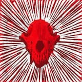 The twilight swallows the thicket