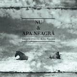 Al Doilea Cântat Al Cocoșilor