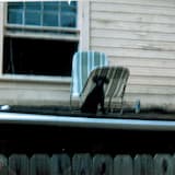 Nightlight Walker (Bright Nap)