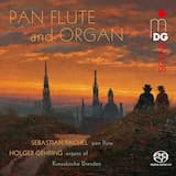 Fantasy No. 5 in D Minor, Op. 176: II. Adagio