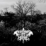 .Morne silence d'une triste nuit