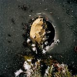 la banlieue de l’hiver