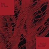 La Obreja (Portico Quartet remix)