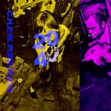 Voluntary Human Extinction