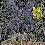 Haunted by Tormented Entanglement