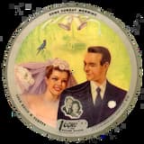 In the Dog House Now