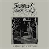 Next to the Magical Brook