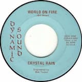 World On Fire