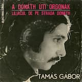 A Dónáth Úti Orgonák