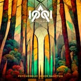 Psychedelic Inner Sanctum II