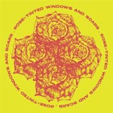 Rose-Tinted Windows and Scars