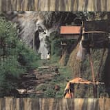 Elvis Has Left the Building