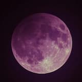 We Should Have Known