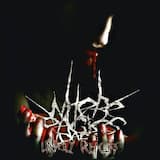 Silence Dies In The Shadow