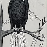 Reverse the Time to Old