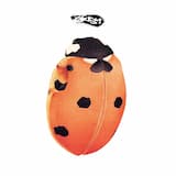 Guido Da Montefeltro's Patented Spring Top Hat