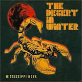 The Desert in Winter