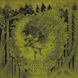 Fleeting but Beautiful