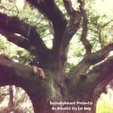 An Acoustic Cry for Help