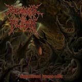 Cadaverous Pregnancy