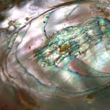 The Darkness Of Things