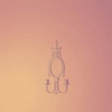 Two Teeth in the Grill