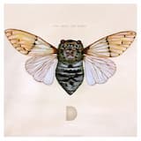 Lies the Youngest Mountain