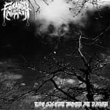 The Birds Call for You to Go.